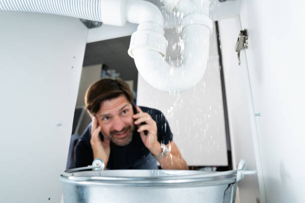 Best Plumbing Services Near Me  in Neffs, OH